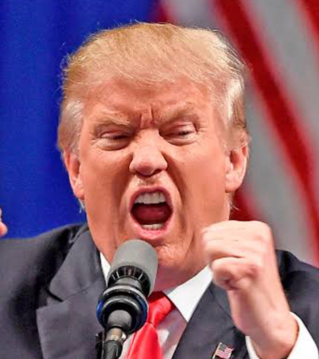 Vinicios Betiol tweet media