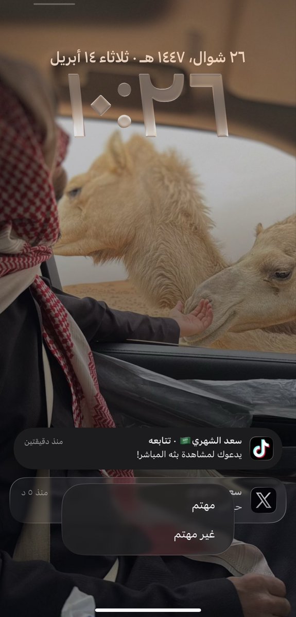 A🇸🇦 tweet media