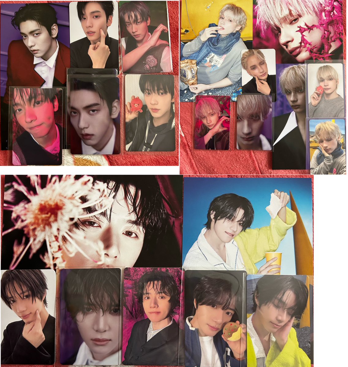 わらび🌱 tweet media