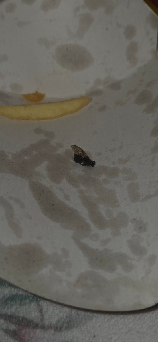 Cea Wato tweet media