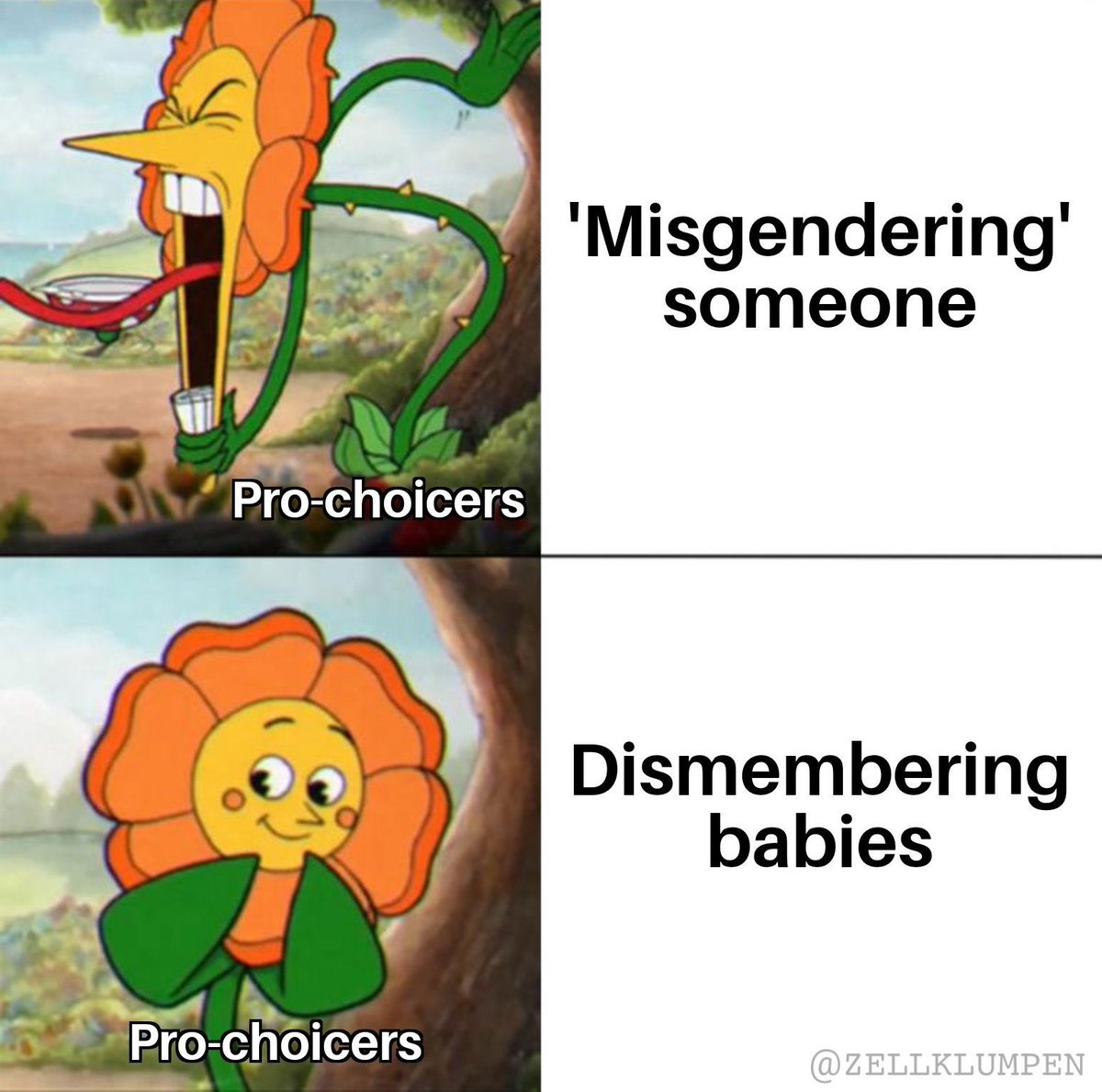 Bryan Kemper 🇺🇸 tweet media