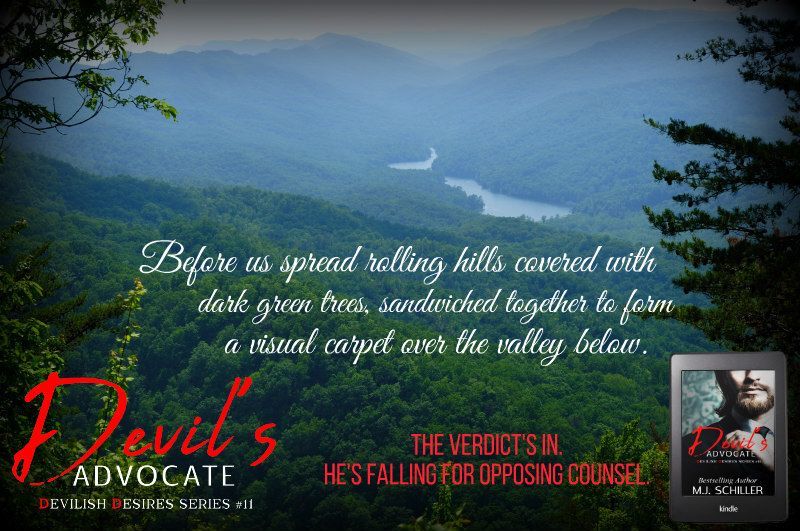 M.J.Schiller tweet media