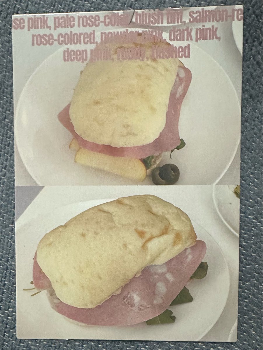 Isabella 9/11 ✈️ tweet media