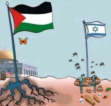 Palestine Culture tweet media