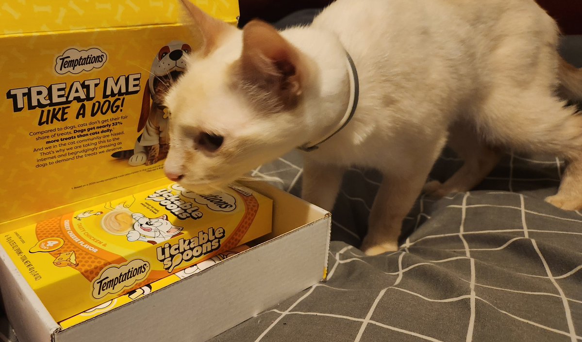 Ramil DS tweet media