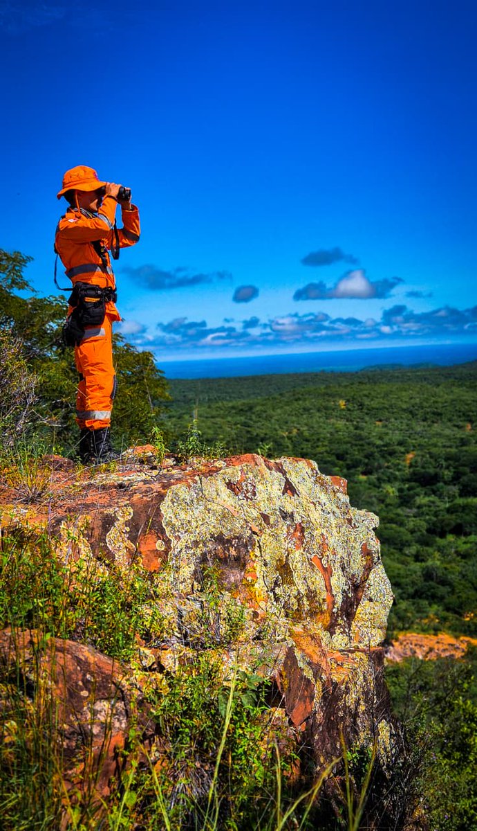 Bombeiros_MG's tweet image. Boa noite!

Não se esqueça! Em caso de emergência, ligue 193.

#bombeiros