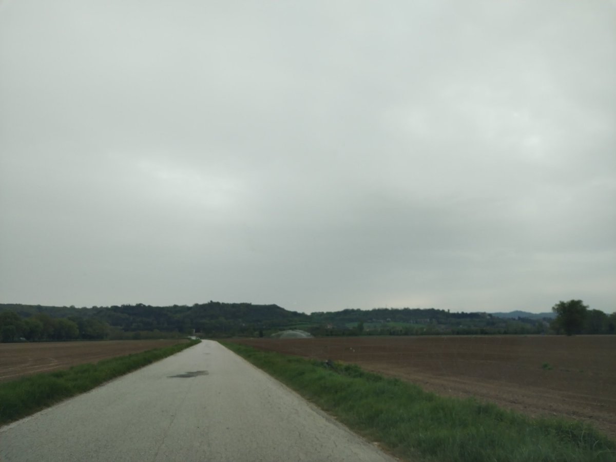 Nicoletta Regimenti tweet media