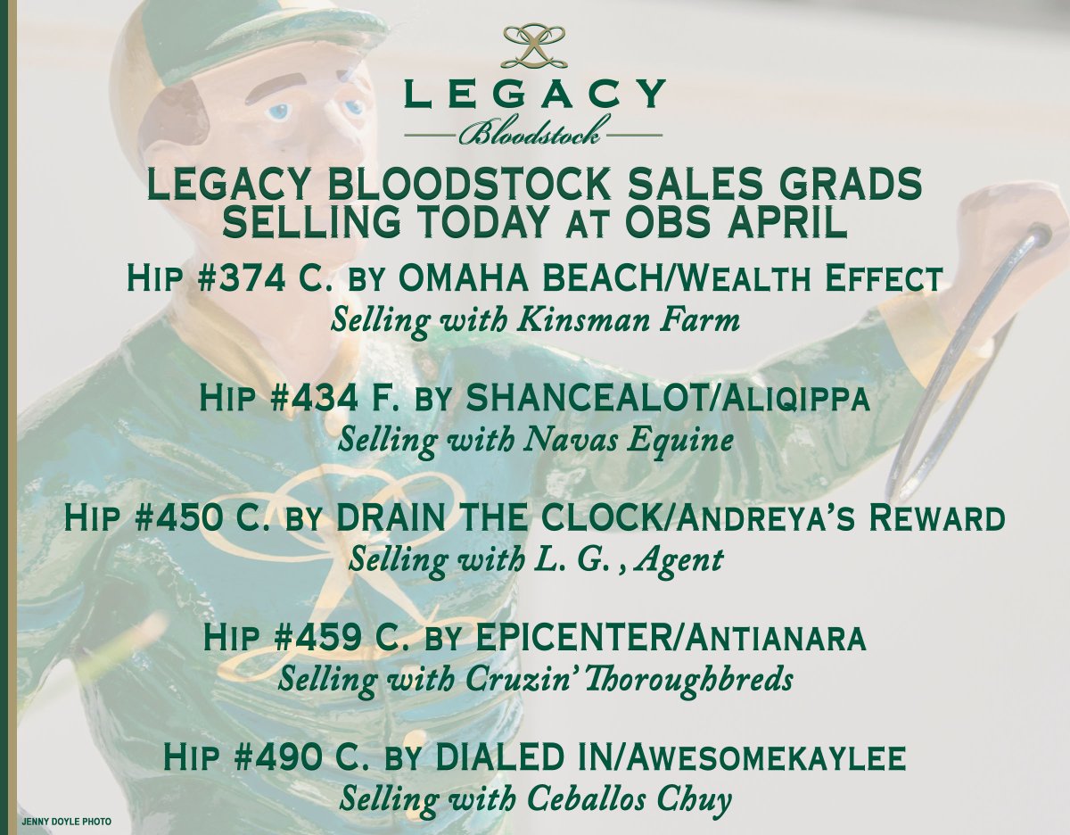 legacybloodstoc's tweet image. Today's #LegacyBuilders 🏇🏆 reselling @OBSSales April
🟨 🟩
🍀 Best of luck to all the consignors!
#OBSApril