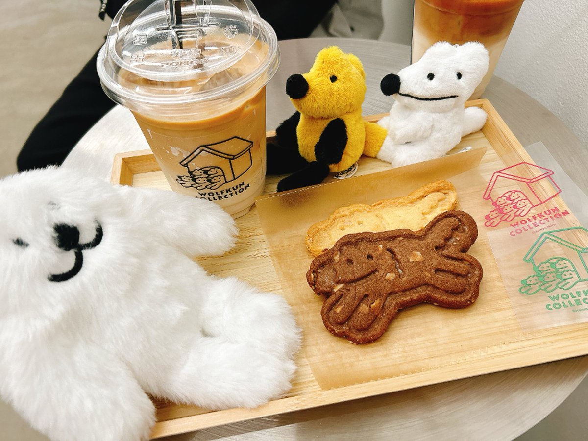 yachi 🦭 tweet media