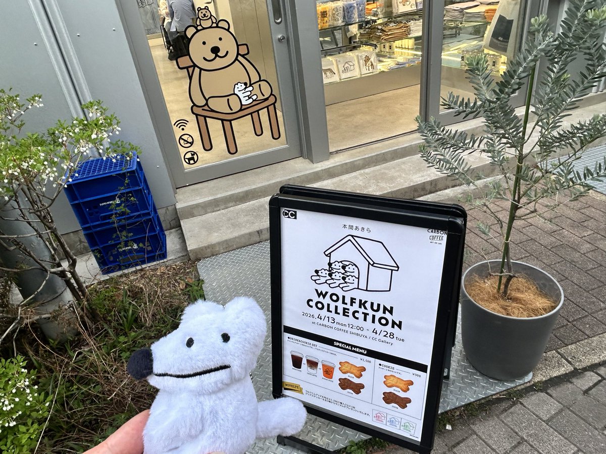 yachi 🦭 tweet media