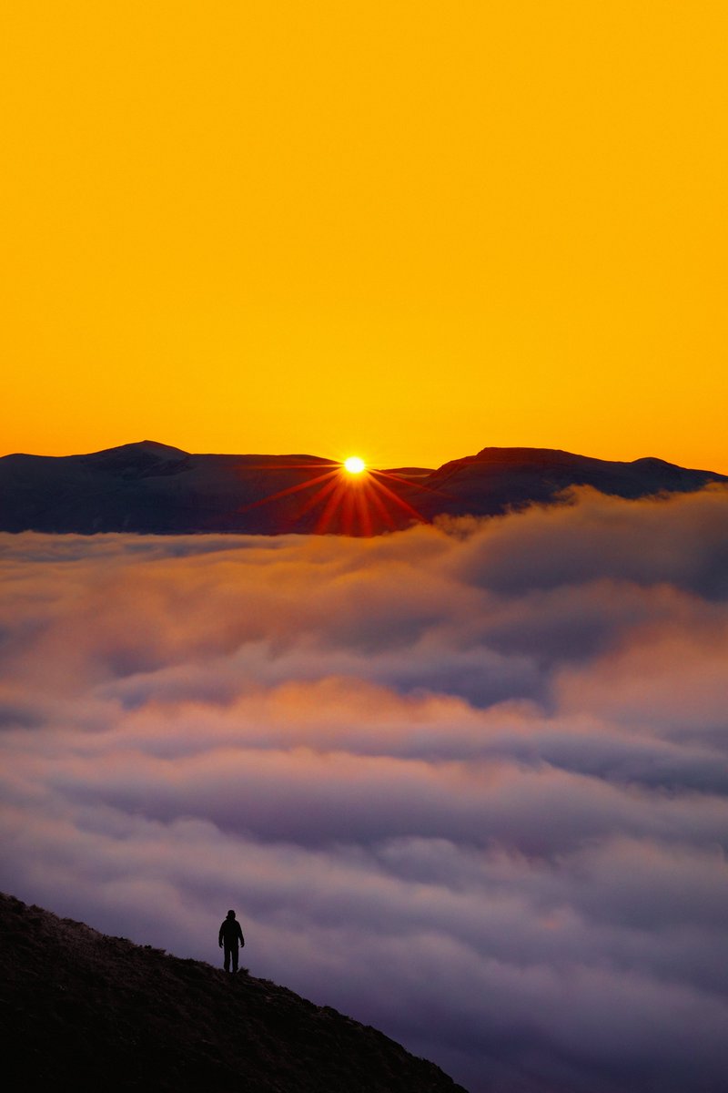 Richard Manley-Tannis tweet media