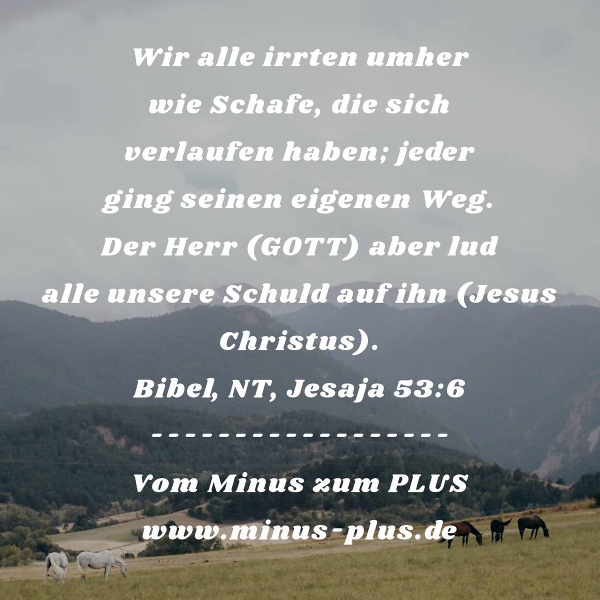 ÖKO-ARCHITEKTENHAUS tweet media