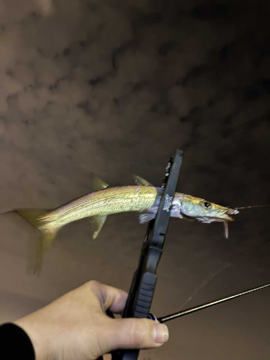 カモっちゃ(´ω`*) tweet media