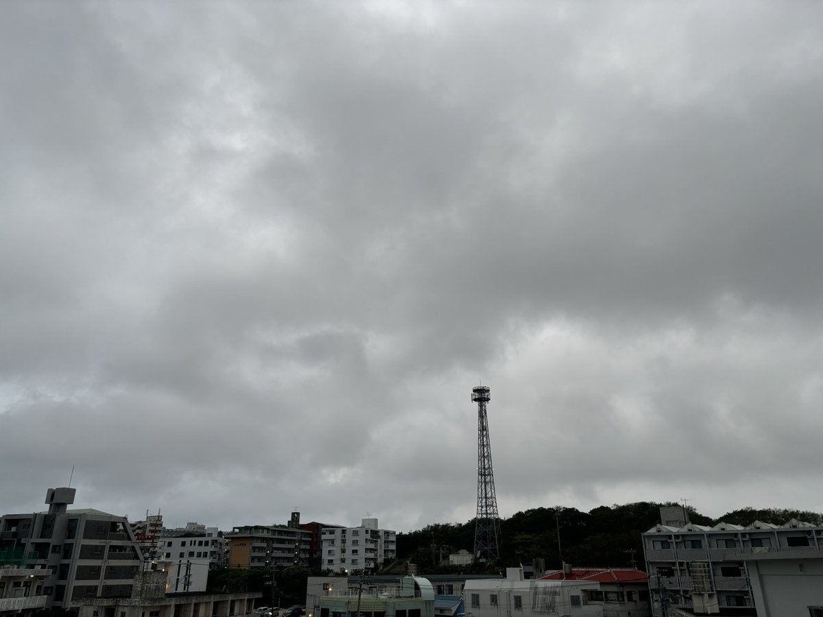 Maruja Konnichiwa 🦋 tweet media