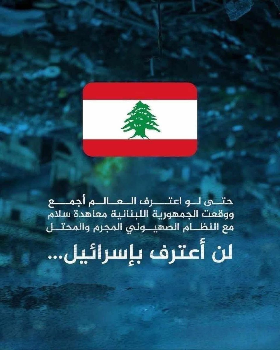 Raed Ell Hajj 🇱🇧 رائد tweet media