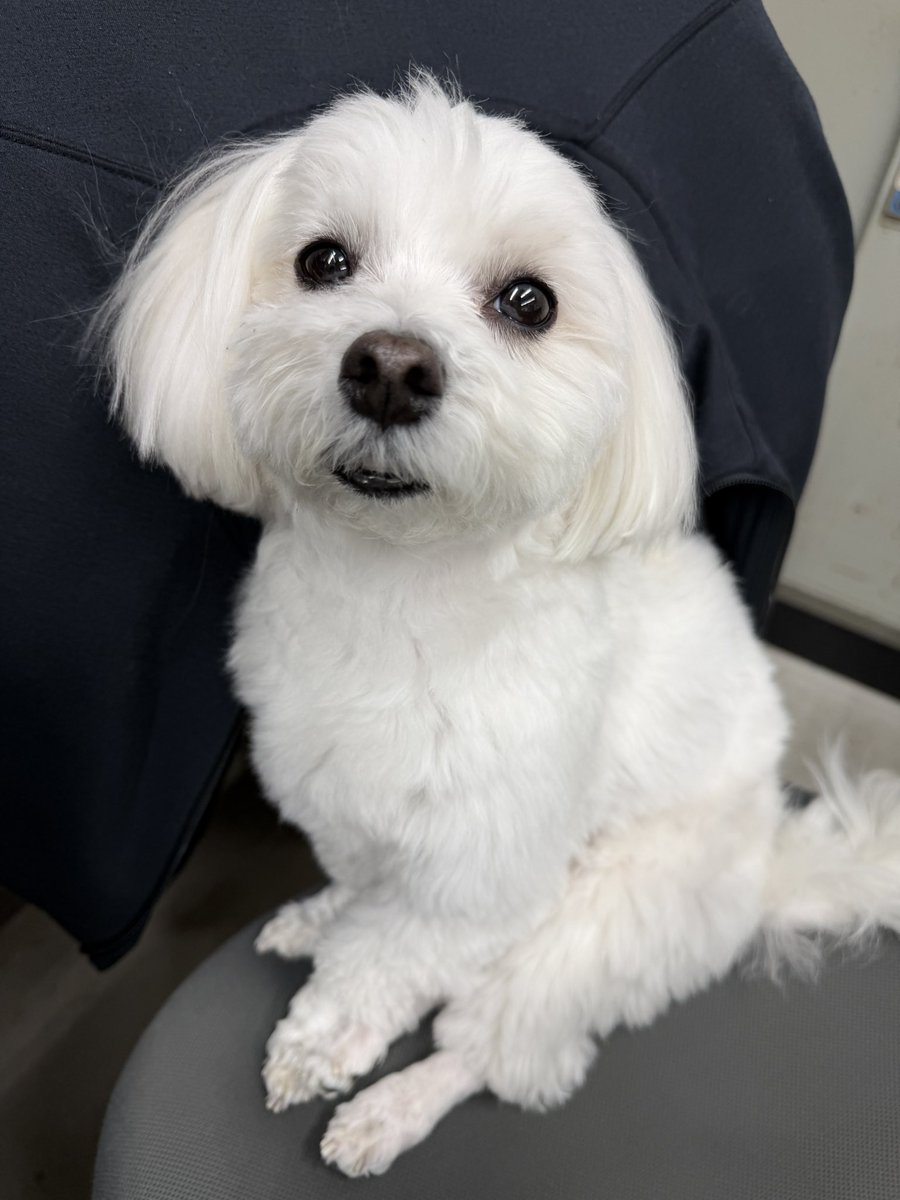 よーこ🔥 tweet media