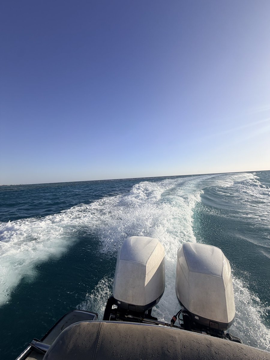 ionicXBT tweet media