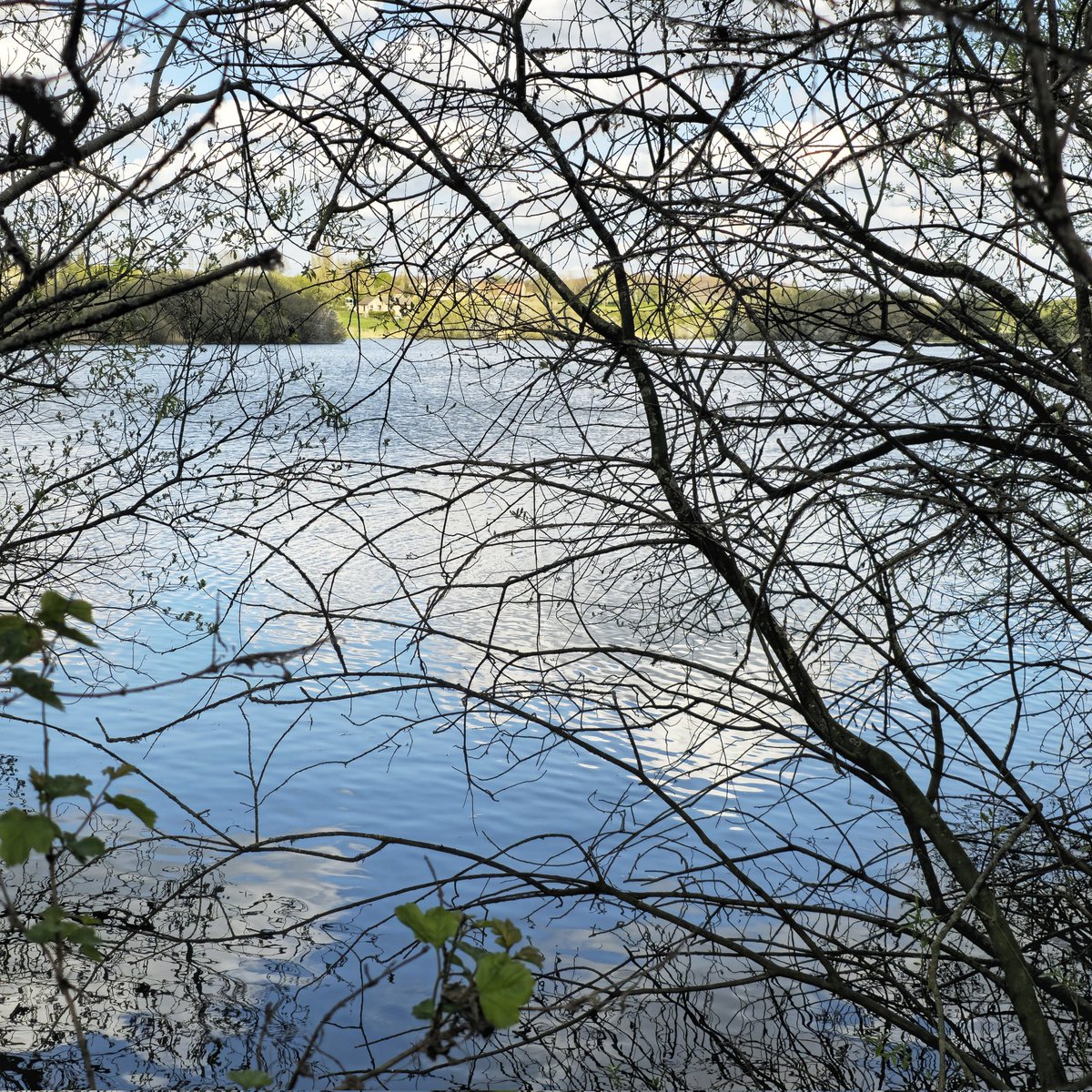 darren1man1bike's tweet image. Last week I walked from Withernsea to Bradford. About 160kms over 6 days. I explored parts of Yorkshire I hadn't seen before. Yorkshire is stunningly beautiful in places.

#walking #hiking #yorkshire