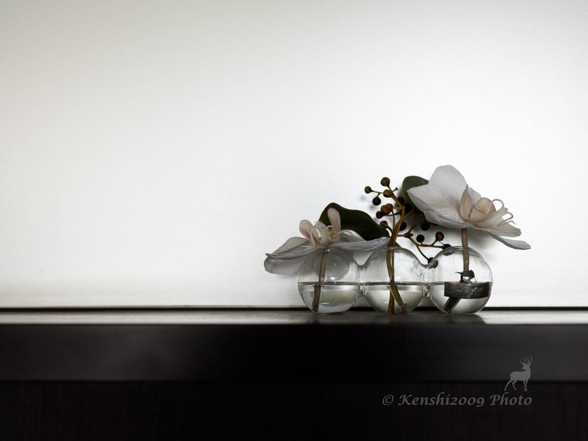 Kenshi2009's tweet image. おはようございます。
水曜日はほっと一息する写真を。