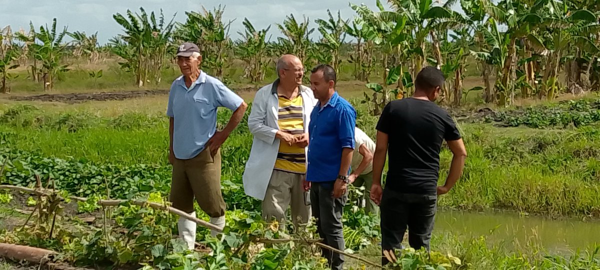 #TodasLasManosTodas. Ante las dificultades, los trabajadores del policlínico Ernesto Guevara de la Serna de Vado del Yeso, demuestran una vez más que la voluntad y el esfuerzo propio son la mejor receta para avanzar.  
#DPSGranma