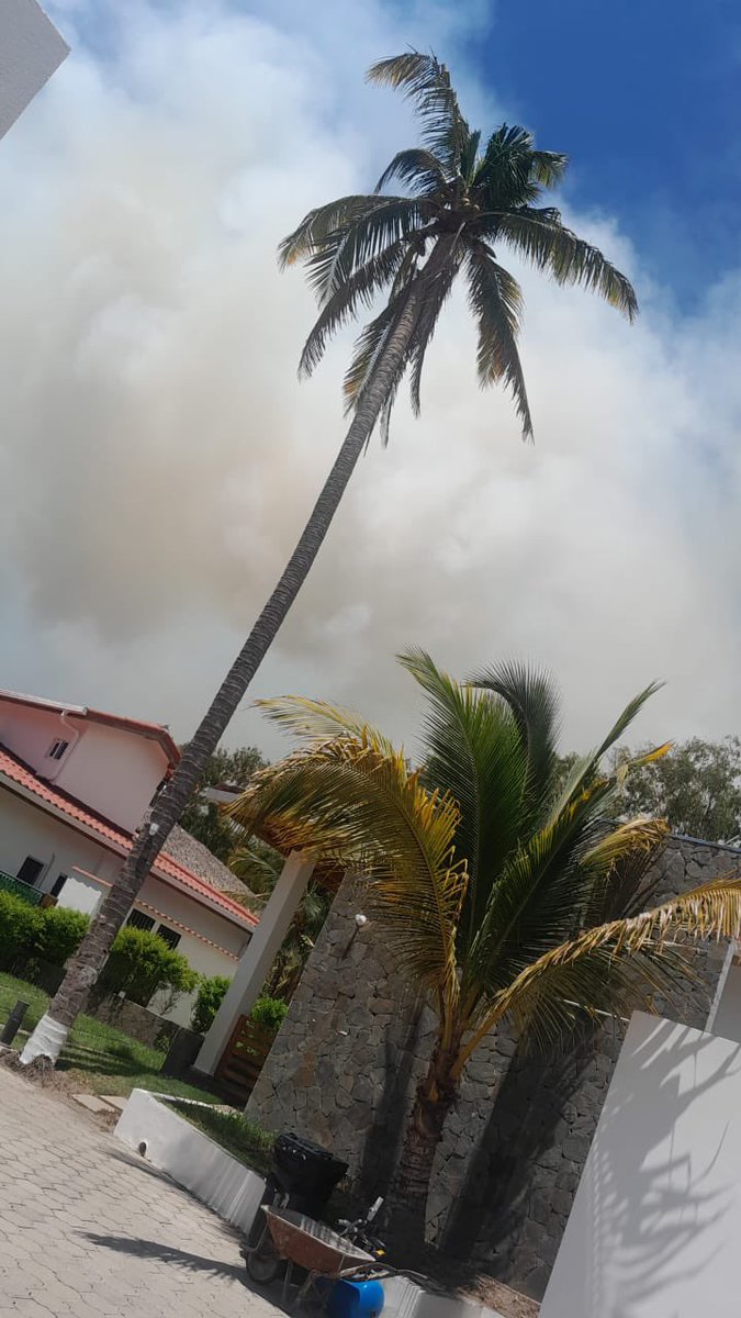 Abigail Guerra | Politica Sin Filtro tweet media