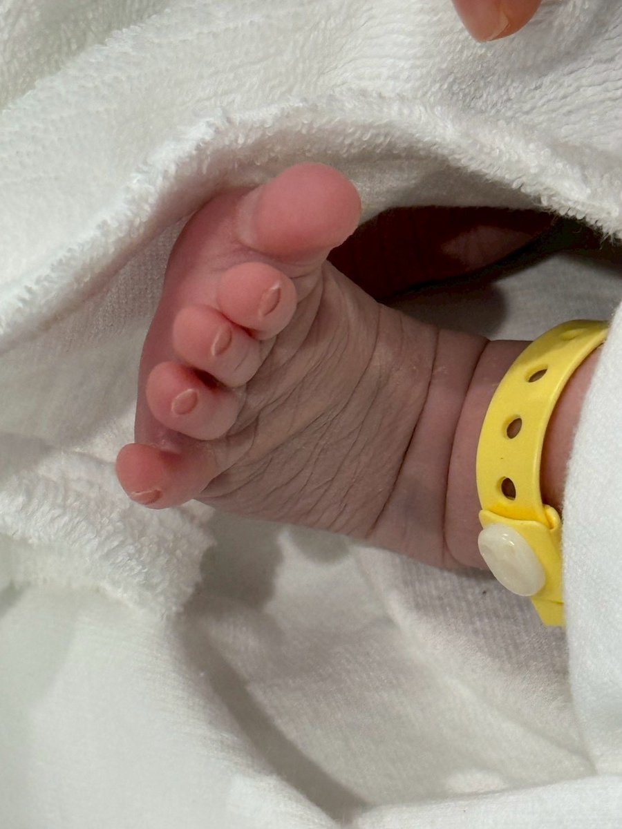 nko🐥40w→0m tweet media