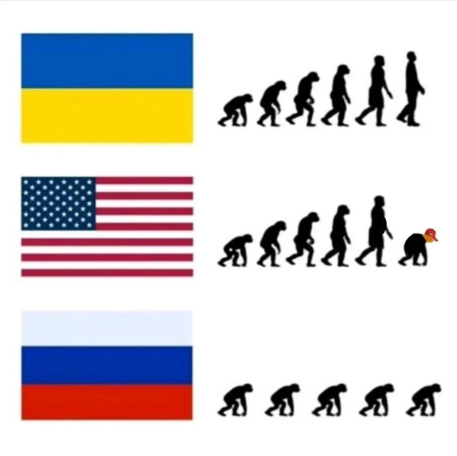 Panam 🇫🇷🇪🇺🌴🇺🇦🎗️ tweet media