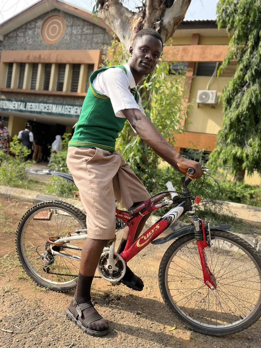 Icon David tweet media