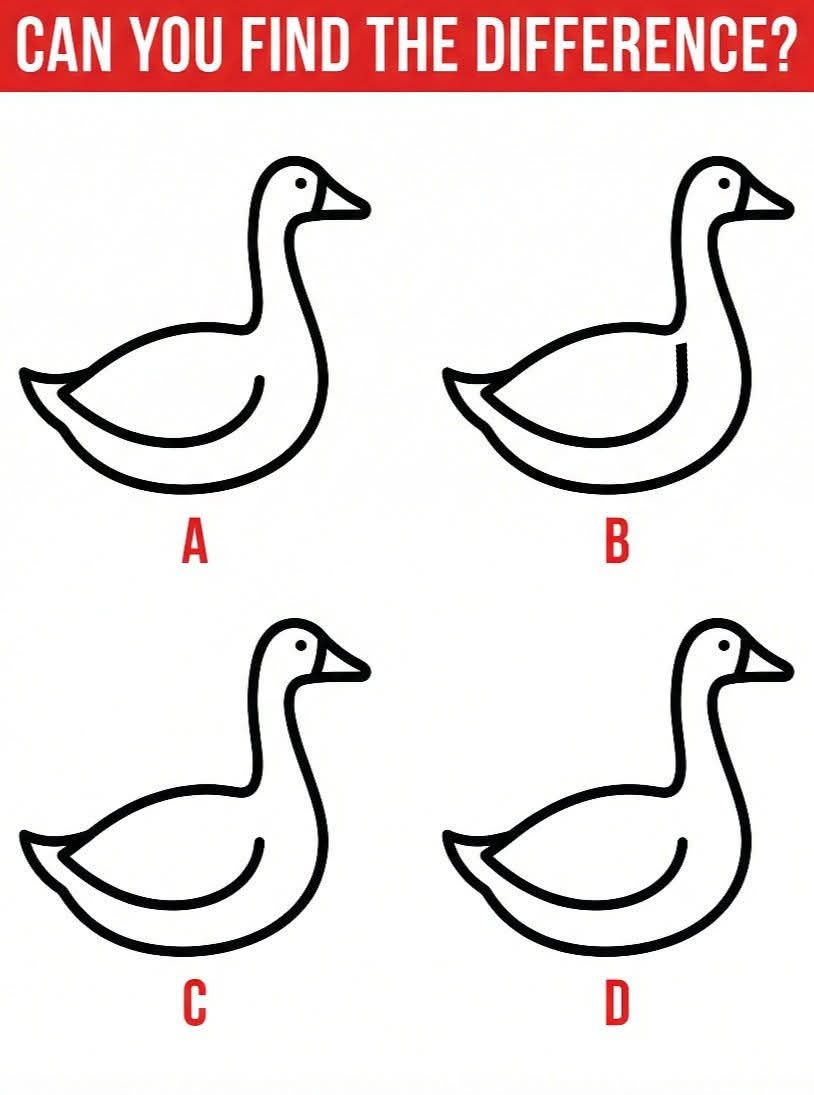 Jewel 🌗 tweet media