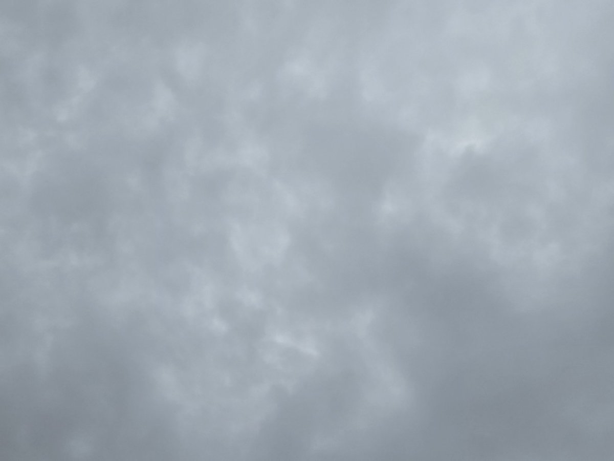 カトレア tweet media