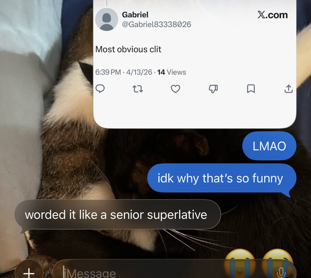 Colby Tate tweet media