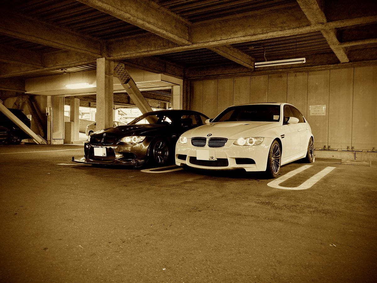 day_too_soon ▼▽ 🌽🐕 tweet media