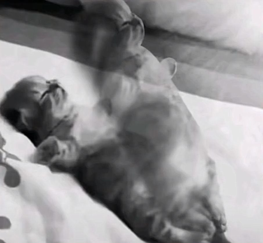 Ms.reemi tweet media