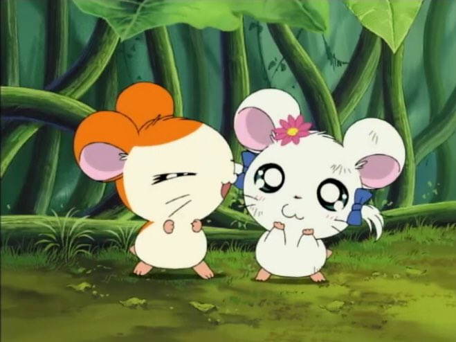 🎀リボン❤️ちゃん tweet media