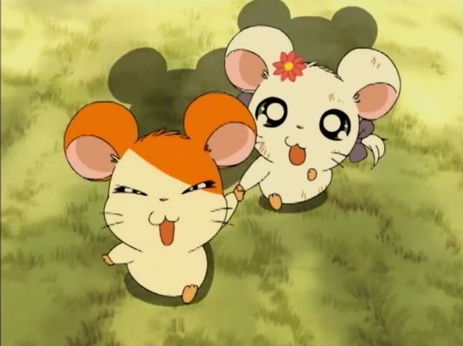 🎀リボン❤️ちゃん tweet media