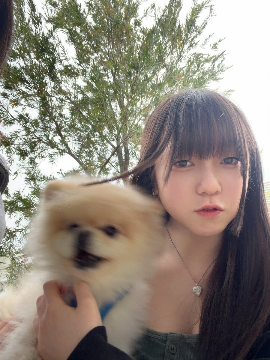 🅚🅞🅚🅞🅐 ♡心愛🧊🍫 tweet media