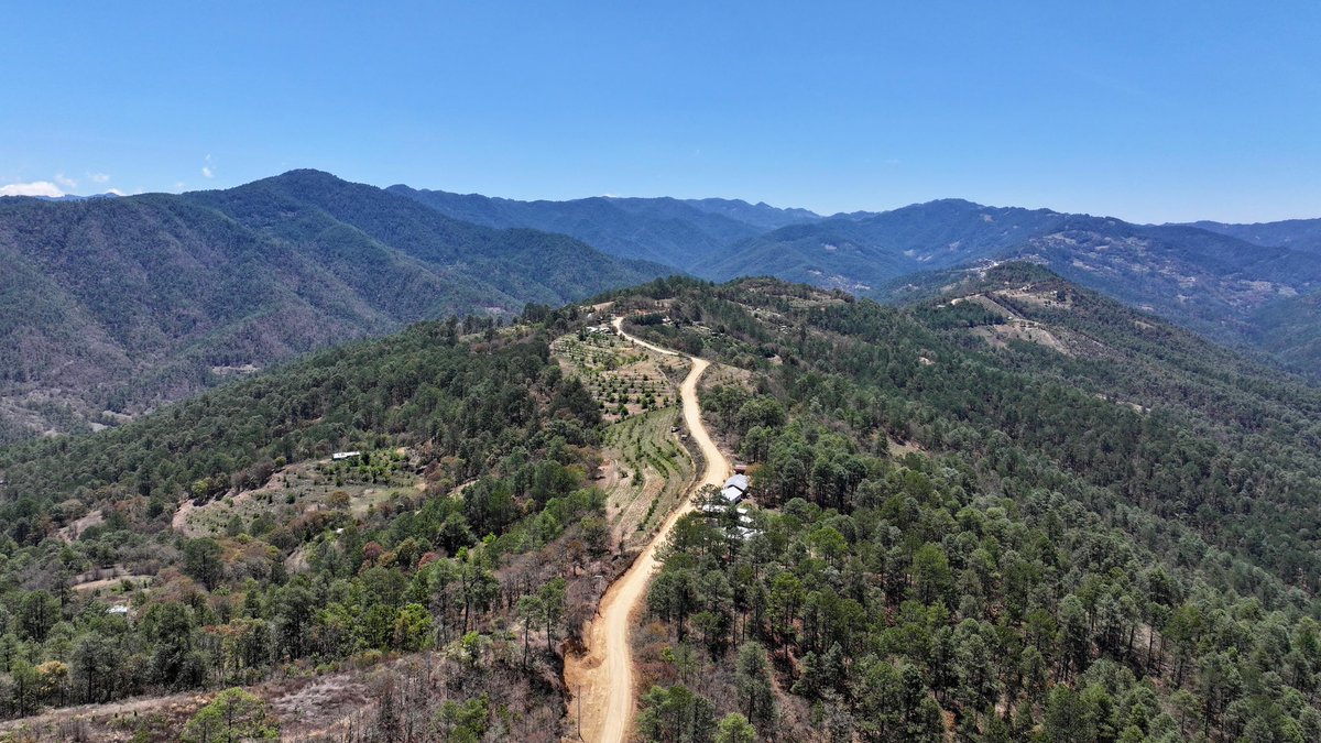 Salomón Jara Cruz tweet media