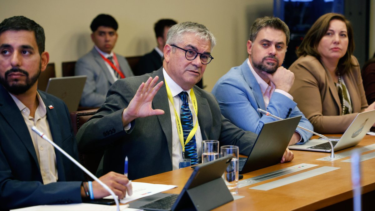Cooperativa tweet media