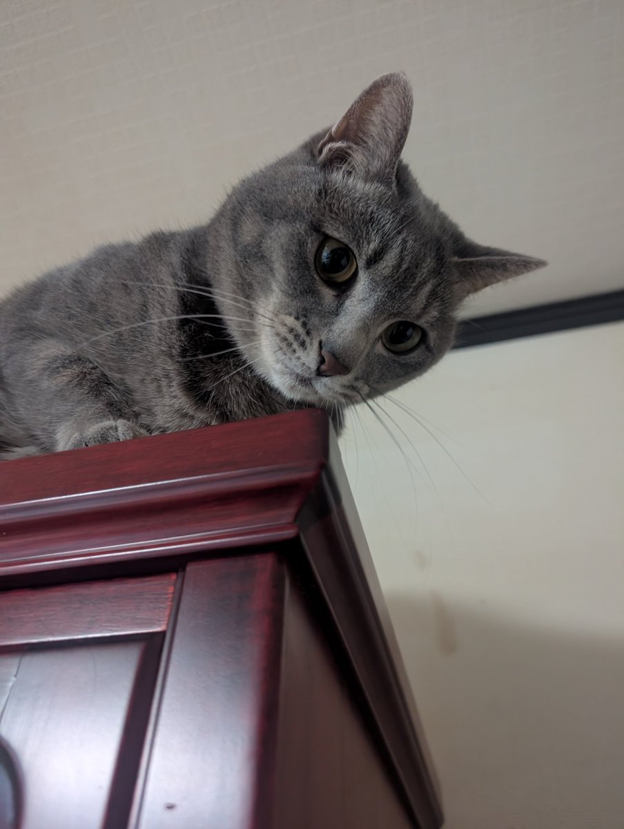 負傷中チョロ松氏 tweet media