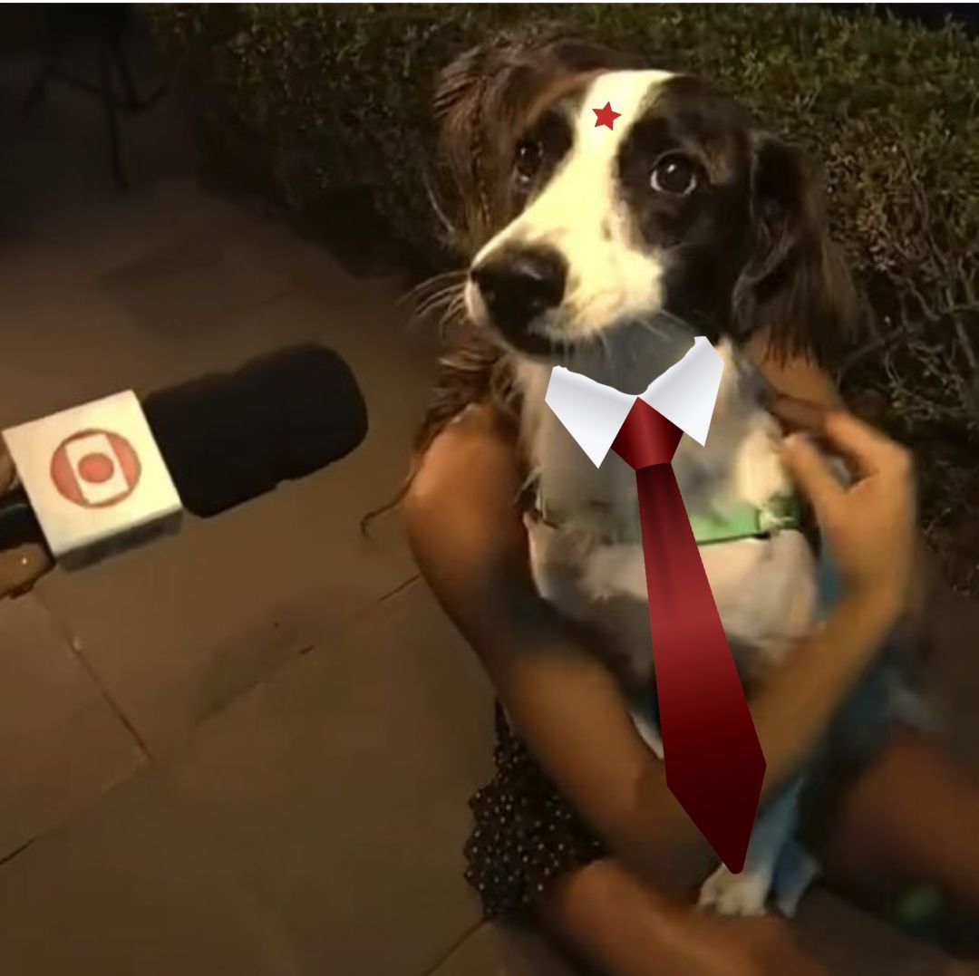 globoplay tweet media