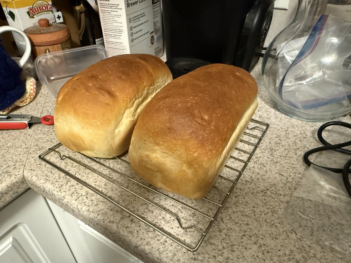 🎮 Lady & TwoSwords 🎮 tweet media