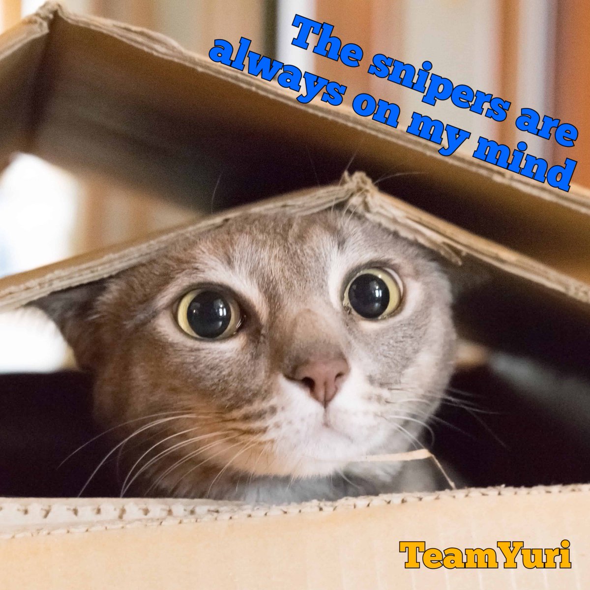 <a href="/LivingGlassAnna/">Babushkat 🇺🇲🇺🇦🌊🌻🐈‍⬛🐈🪐👽</a> <a href="/Y_Chornomorets/">Yuri Chornomorets</a> <a href="/MapleSyrupF/">Maple Syrup 🇨🇦 . ▄︻芫══━一 #TeamYuri</a> <a href="/olimanagraphics/">Olimana Gurimana 🇺🇦 #TeamYuri</a> <a href="/kvistp/">Kvist</a> <a href="/Justinhead1982/">Wolfhound Fellá 🇮🇪🇪🇺🇺🇦🇺🇸🇬🇧 #TeamYuri</a> <a href="/GrootCorine/">Co 🇳🇱🇺🇦🇫🇷</a> <a href="/akwtenn/">GBO △</a> <a href="/nina_lindroos/">NinaNafo CrazyCatLadyFella</a> <a href="/RichardKernoha2/">Richard Kernohan</a> <a href="/CordialCordite/">Wrong, Mr. M.: The world does need🌻🇺🇦 Uƙɾαιɳҽ!</a> 🫶🫂💙💛