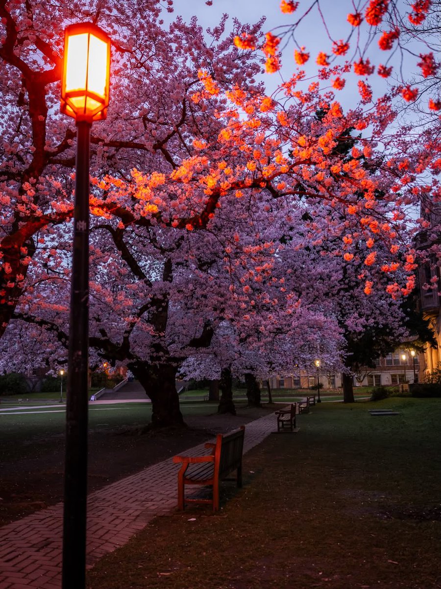 novaworld tweet media