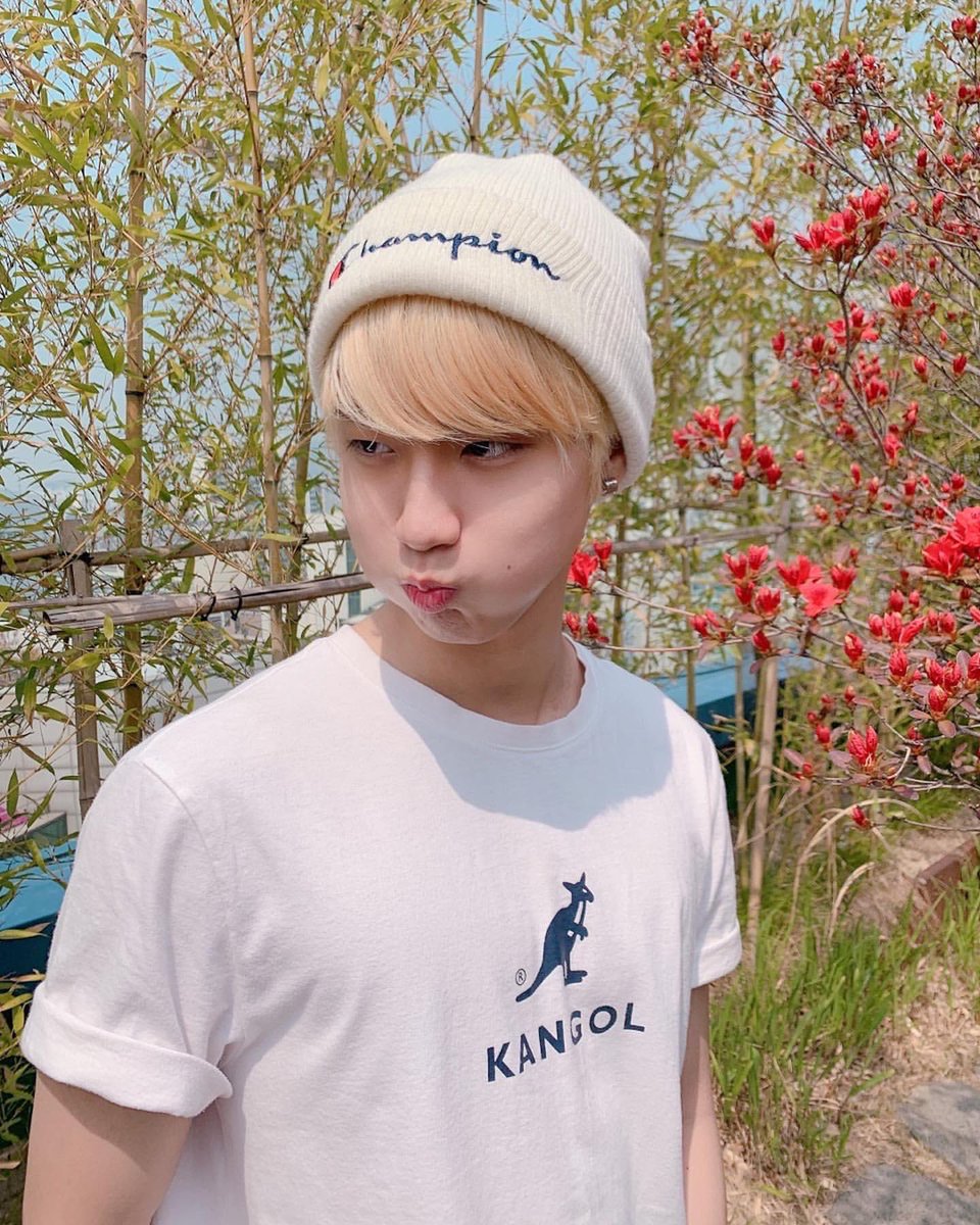 Stray Kids HAN Instagram tweet media