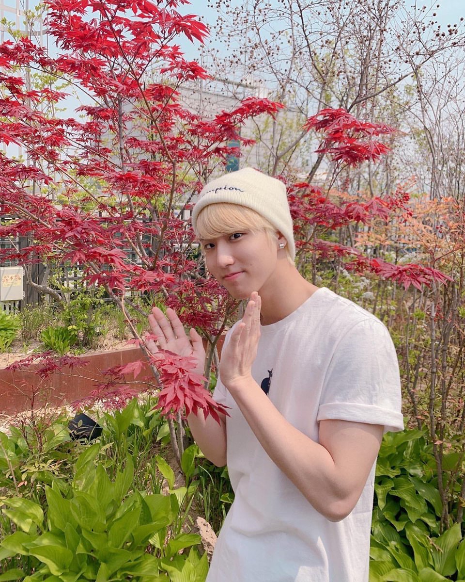 Stray Kids HAN Instagram tweet media