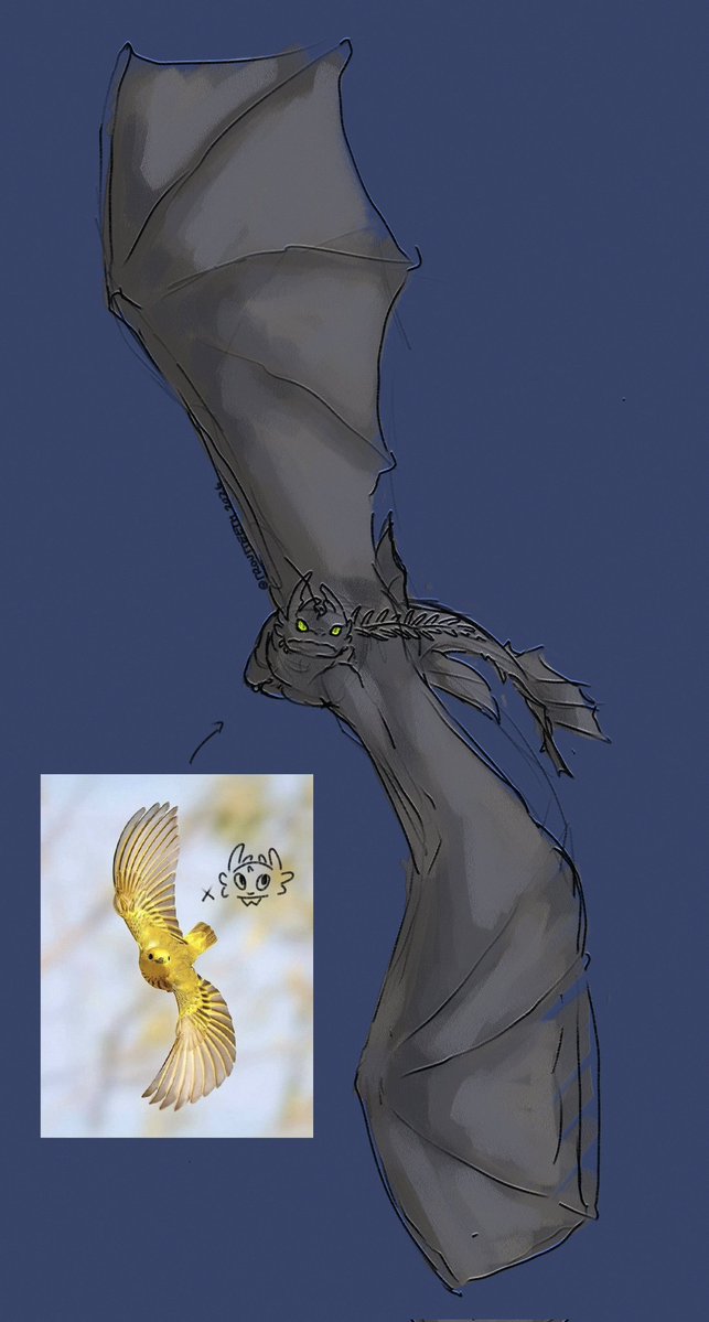 🐟 trout 💫 tweet media