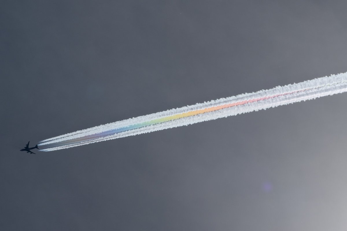 レインボーコントレイル！！
ｷﾀ━━━(⁎ ˃ᴗ˂⁎) ━━━ｯ!!