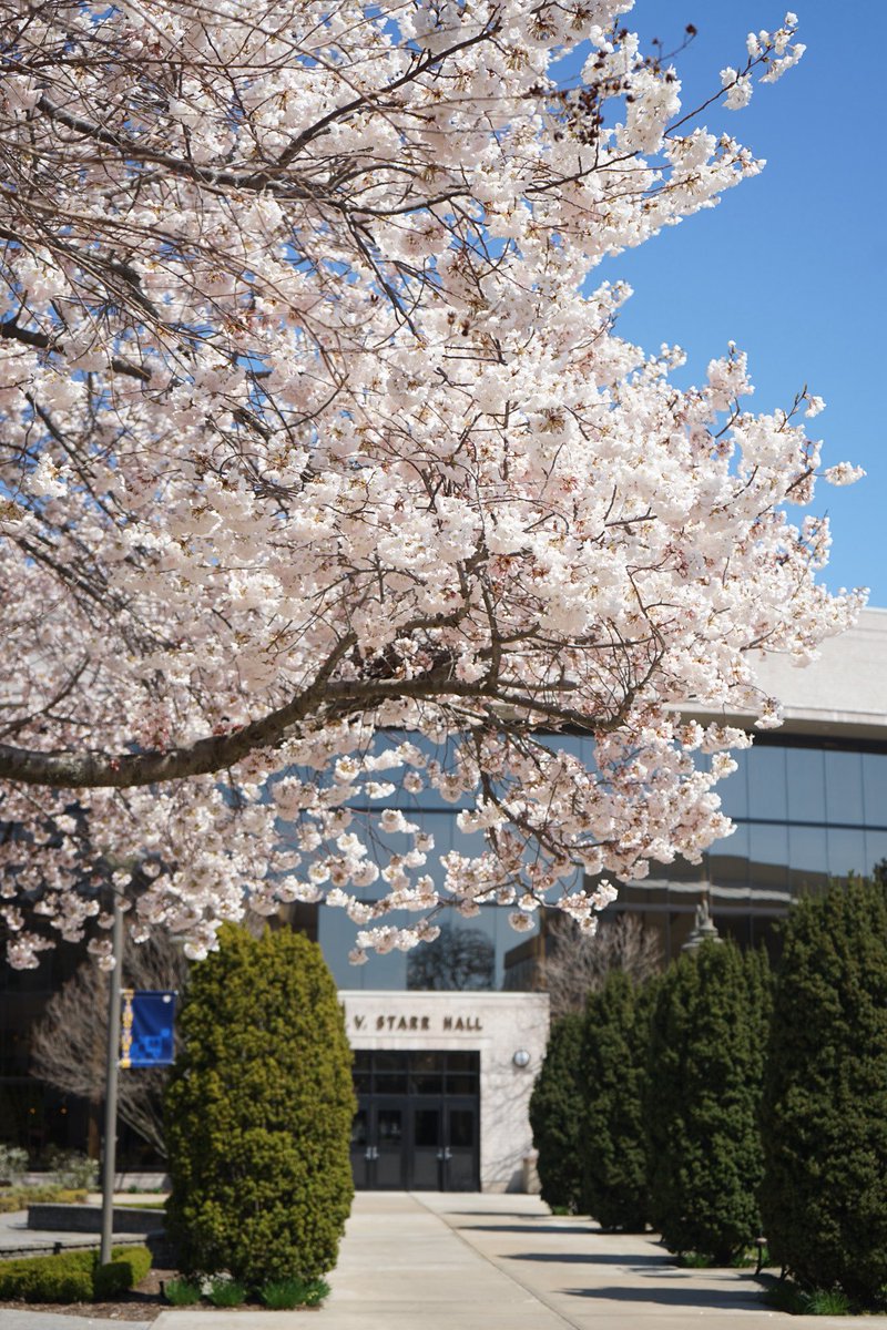 Hofstra University tweet media