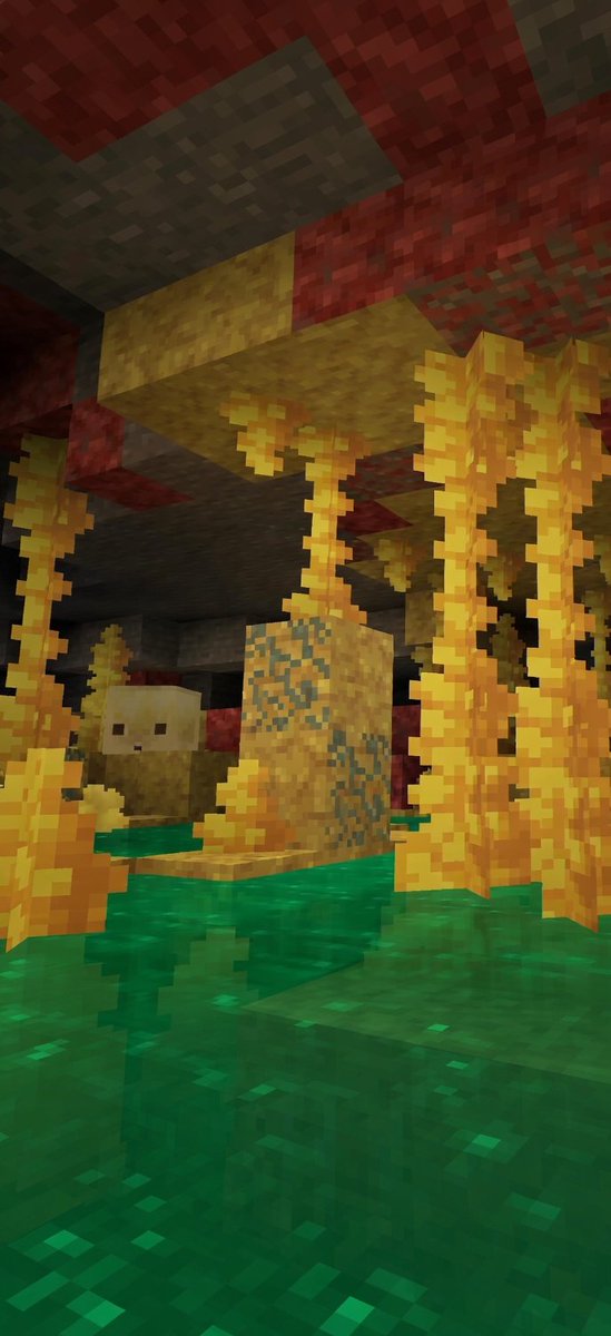 AgentCMinecraft tweet media