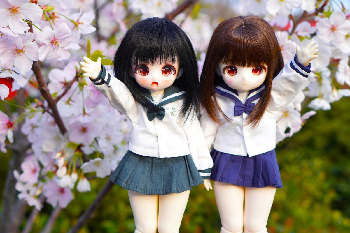 #おはドル
＃Tinyfox

おはようございます。